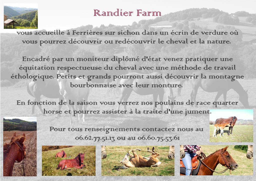 Domaine Du Randier Villa Ferrieres-sur-Sichon Ngoại thất bức ảnh